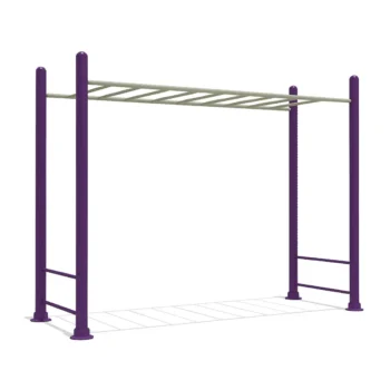 Kids hanging monkey bar - Enterlinks