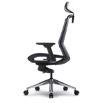 ELC-12-CHAROCAL-01