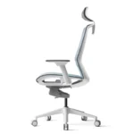 ELC-12-CHAROCAL-01