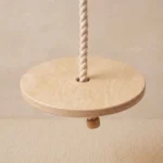 disk-swing-01