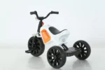 EL-RIDE-021-01